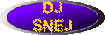 DJ Mixes by DJ sneJ