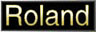Roland Logo Button